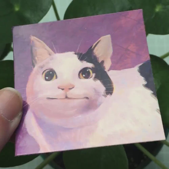 Awkward Smiling Cat Waterproof Vinyl Sticker | Die Cut Sticker | Laptop Decal | cute animal stickers